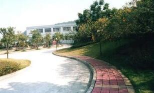 义乌市国贸学校 培养未来广告设计精英的摇篮